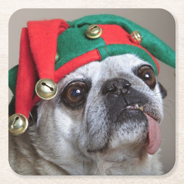 Funny looking pug with tongue hanging out square paper coaster (Front)