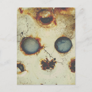 Funny Looking Rusty Abandoned Object Postcard