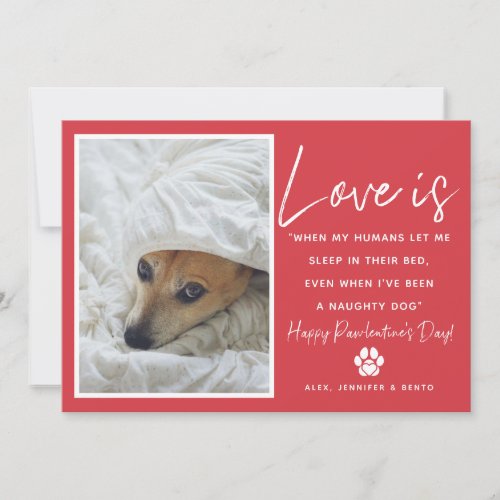 Funny Love Is Pet Valentines Day Holiday Card