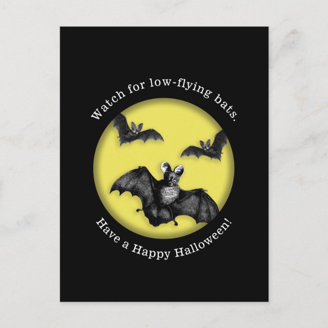 Funny Low Flying Bats Happy Halloween Postcard (Front)