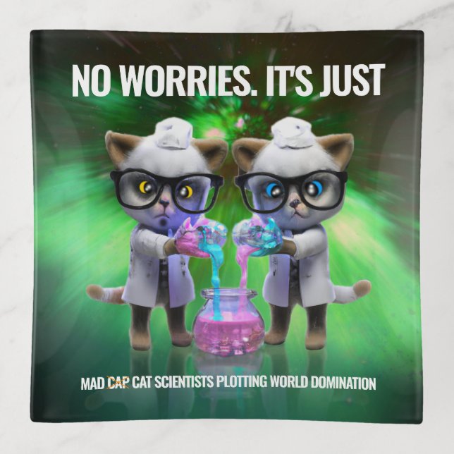 Funny Mad Cat Scientists Plotting World Domination Trinket Tray (Front)