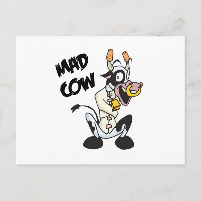 funny mad cow postcard (Front)