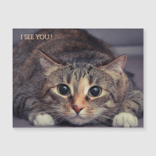 Funny Magnetic I See You Cat Magnet