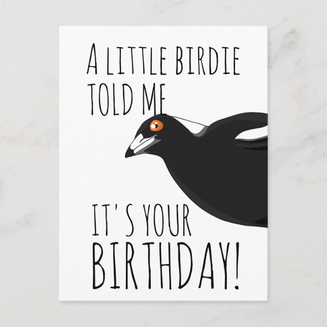 Funny magpie postcard (Front)