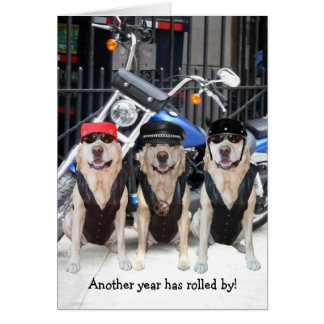 Funny Motorcycle Cards | Zazzle