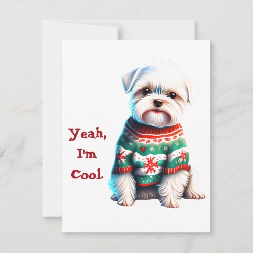 Funny Maltese in Christmas Sweater Holiday Card