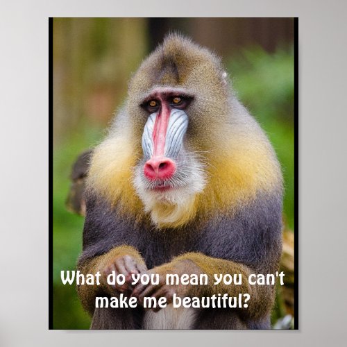 Funny Mandrill Stylists Poster