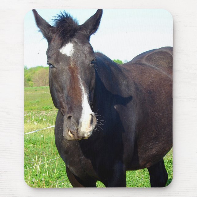 Funny Mare Mouse Pad (Front)