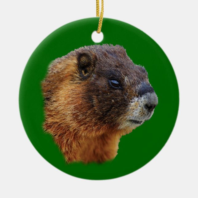 funny marmot ceramic ornament (Front)