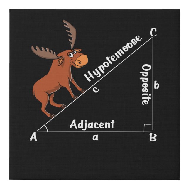Funny Math Hypotemoose Geometry Moose Joke Pun Faux Canvas Print (Front)