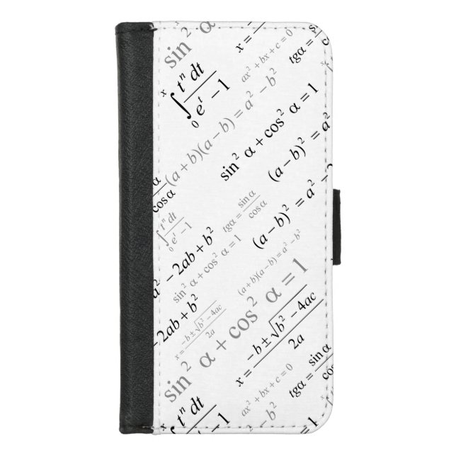 Funny Mathematics Formulas Math Geek iPhone Wallet Case (Front)