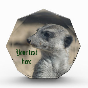 Funny Meerkat Acrylic Award - Customized
