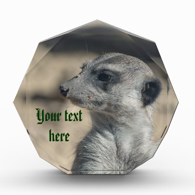 Funny Meerkat Acrylic Award - Customized (Front)