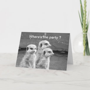 Think Happy Thoughts ~ The Meerkat of Merriment ~ Blank greeting card ~Free p/&p