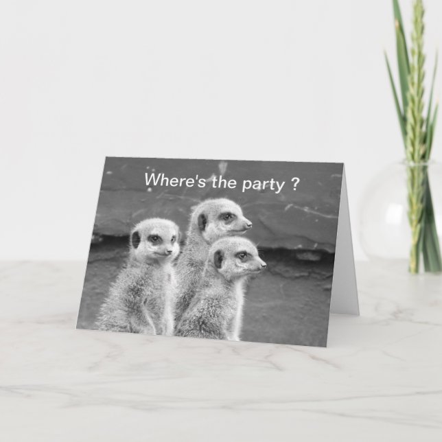 Funny Meerkat birthday card (Front)