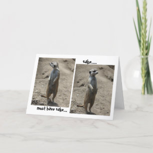 Funny Meerkat Birthday card; must have cake! Card