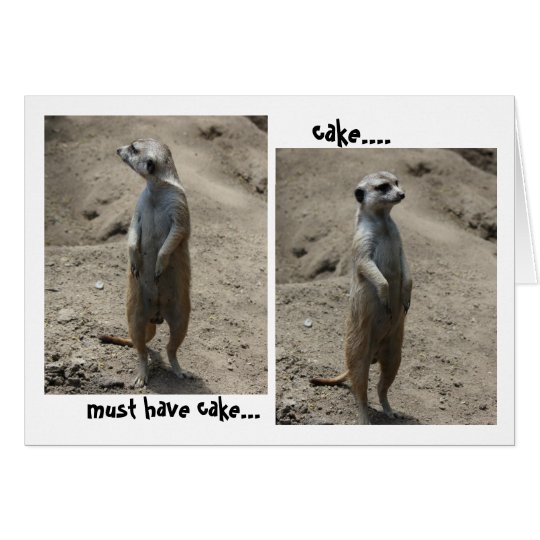 Funny Meerkat Birthday card; must have cake! Card | Zazzle.com