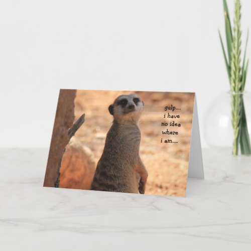 Funny Meerkat card Lost Without You miss you Card