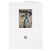 Funny Meerkat Cards (Back)