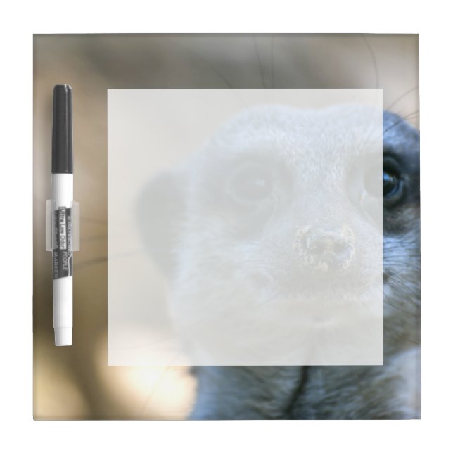 Funny Meerkat Dry-Erase Board (Front)
