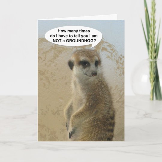 Funny Meerkat Groundhog Day Card | Zazzle.com