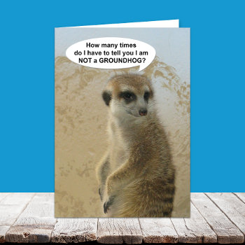 Funny Meerkat Groundhog Day Card by KathyHenis at Zazzle