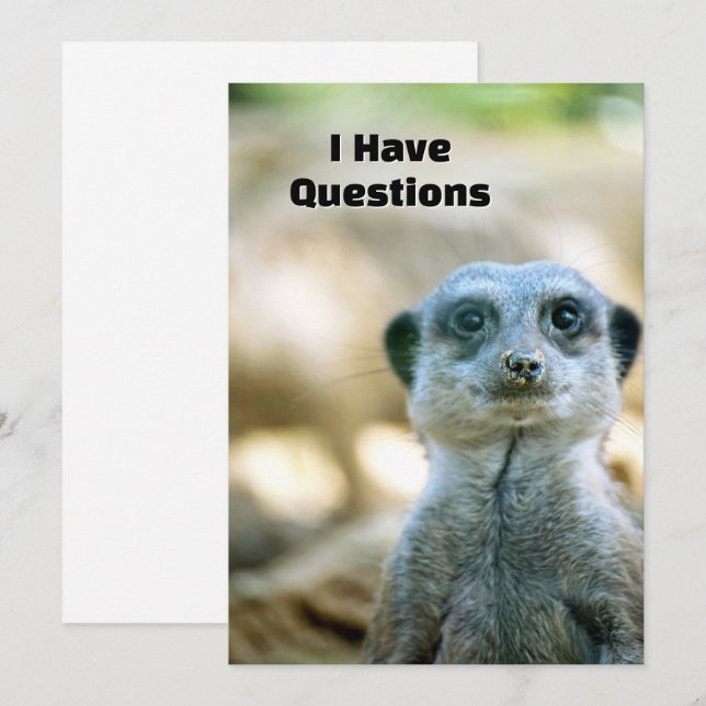 Funny Meerkat “I Have Questions” Animal Humor