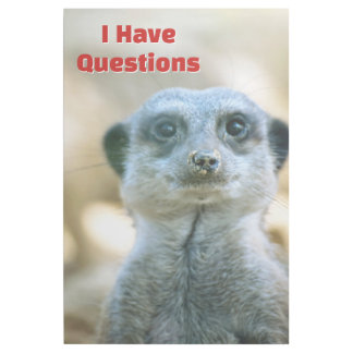 Funny Meerkat I Have Questions Animal Humor Gallery Wrap