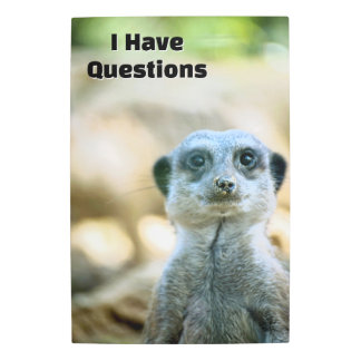 Funny Meerkat I Have Questions Animal Humor Metal Print