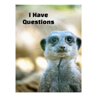 Funny Meerkat I Have Questions Animal Humor Photo Print