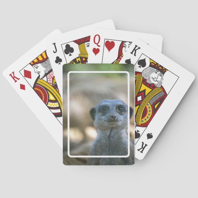 Funny Meerkat Poker Cards (Back)
