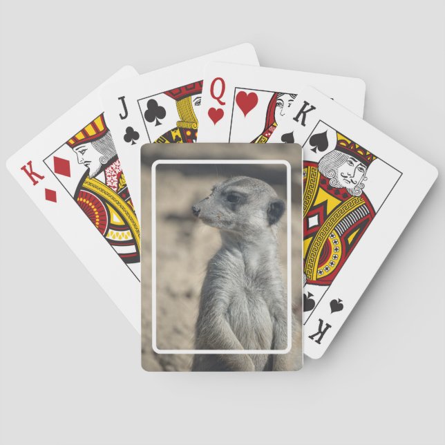 Funny Meerkat Poker Cards (Back)