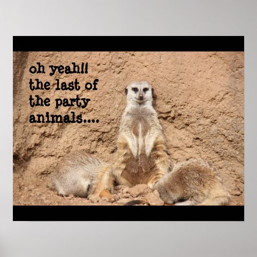 funny meerkat poster Party Animal Poster