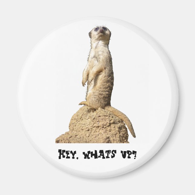 Funny Meerkat Standing Up Magnet (Front)