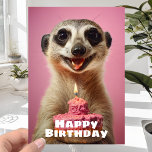 Funny Meerkat with Candle Cake - Happy Birthday Card<br><div class="desc">The meerkat had been living in the savannah for many years, but had never seen a birthday cake before. It was so entranced by the sight of the cake that it almost forgot why it had come to the table in the first place. It was the day of its best...</div>