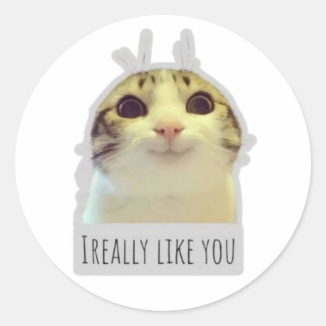 funny meme cat classic round sticker (Front)