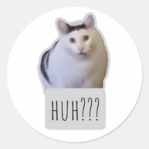 funny meme cat classic round sticker