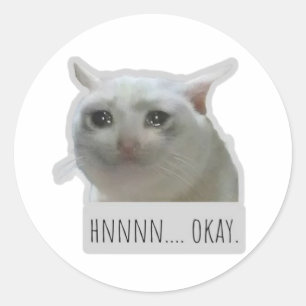 funny meme cat classic round sticker