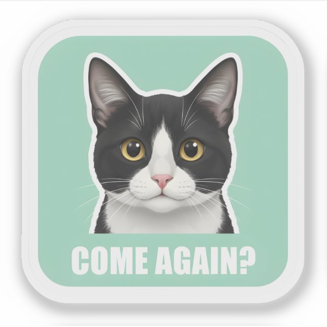 Funny Meme Cat – “Come Again?” Sassy Cat Reaction, Sticker (Front)