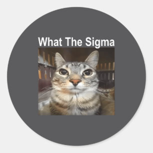 Funny Meme Cat What The Sigma Cute Cat Meme Quote Classic Round Sticker