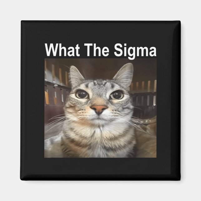 Funny Meme Cat What The Sigma Cute Cat Meme Quote  Magnet (Front)