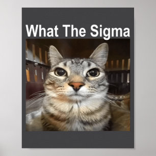 Funny Meme Cat What The Sigma Cute Cat Meme Quote Poster