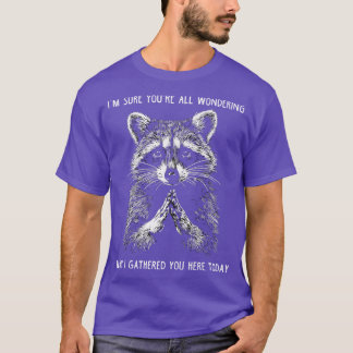 Funny Meme Raccoon Gift Men Women Funny Raccoon 8 T-Shirt