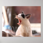 Funny Meow Or Never Cute Kitten Kitty Cat Lover Poster at Zazzle