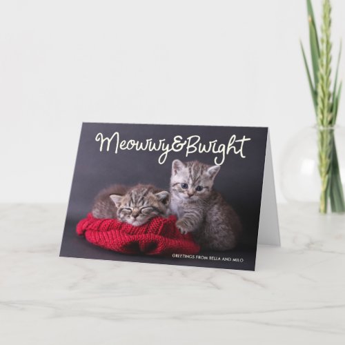 Funny Meowwy and Bwight Holiday  Photo Greeting