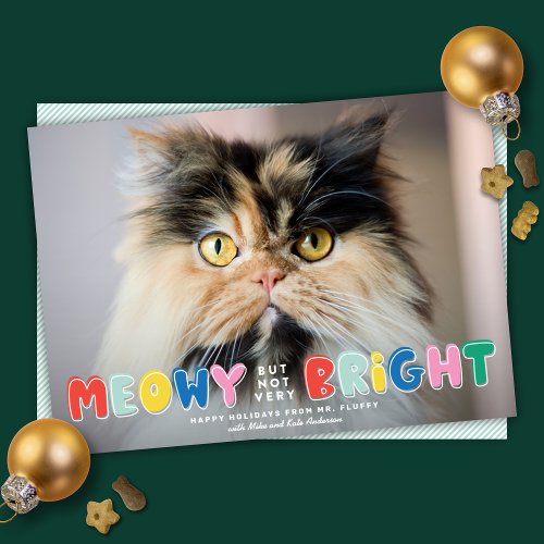 Funny Meowy But Not Very Bright Cute Cat Photo Holiday Card