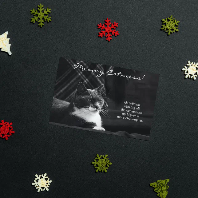 Funny Meowy Cat Mess Christmas Holiday Card | Zazzle