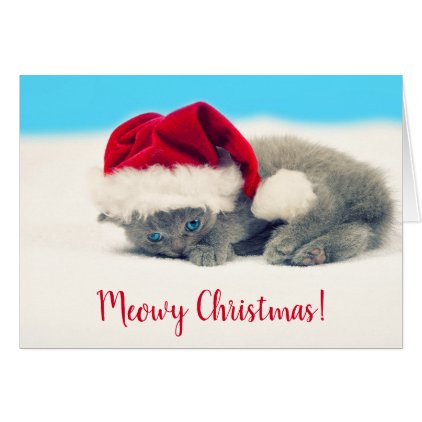 Funny Meowy Christmas Kitten Card