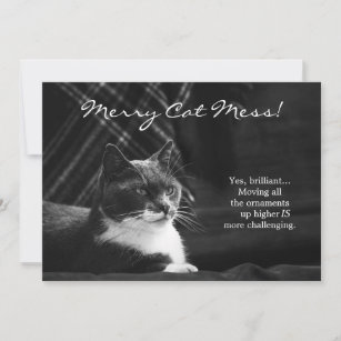 Frohe Weihnachten Bilder Lustig Katzen - Test 6