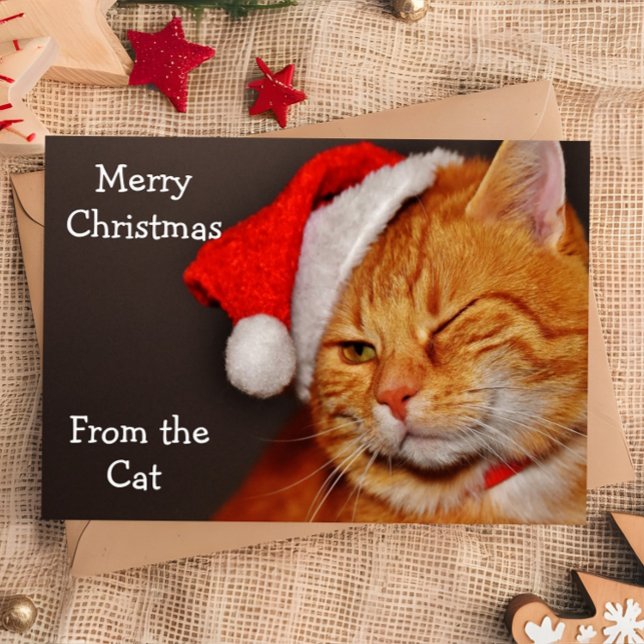 Funny Merry Christmas from the Cat Holiday Card (Creator Uploaded)